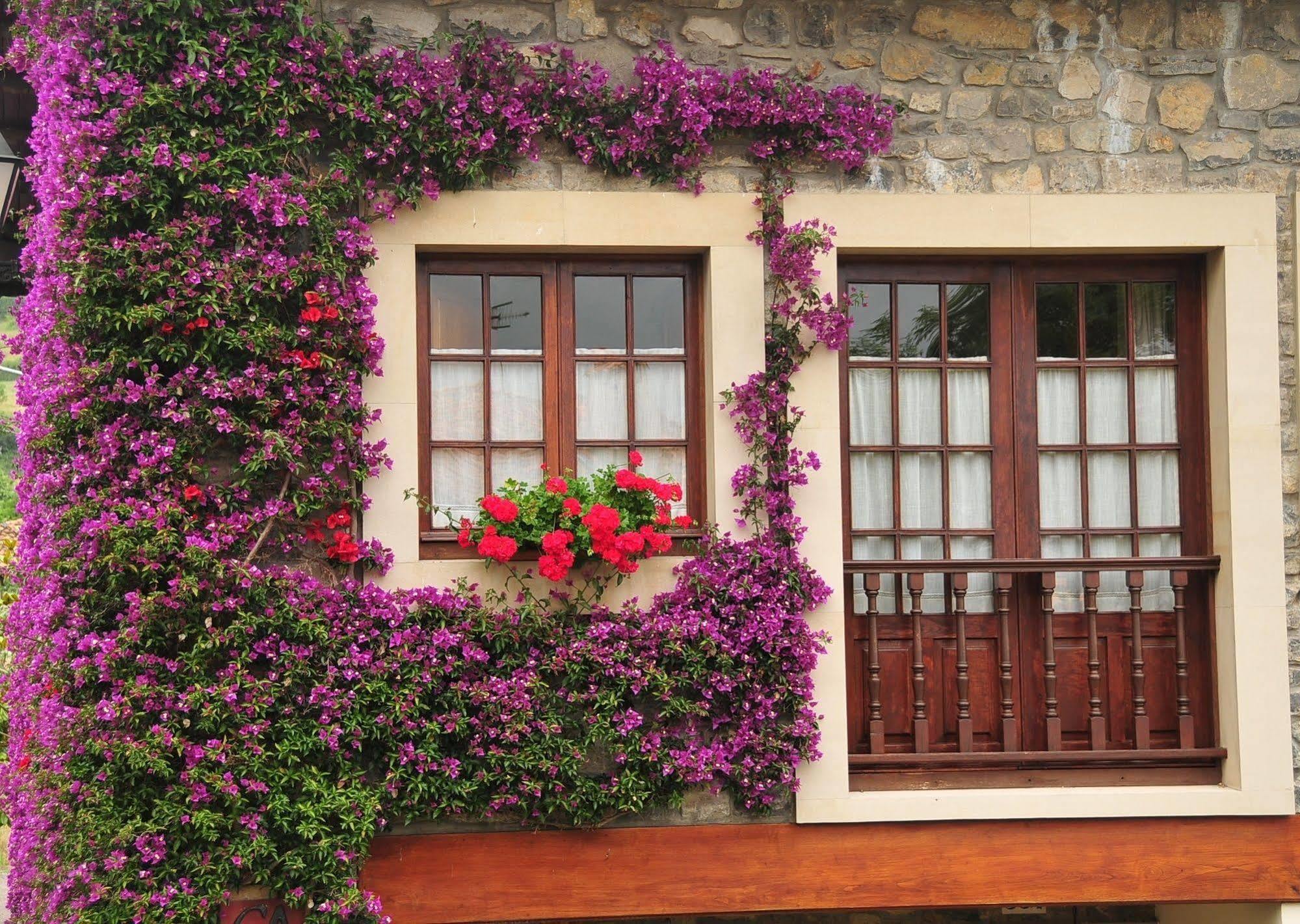 منزل الضيف Miravalles  في Casa Rural Llugaron I المظهر الخارجي الصورة